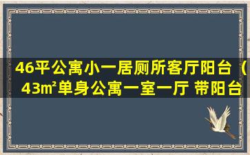 46平公寓小一居厕所客厅阳台（43㎡单身公寓一室一厅 带阳台 该怎么布置）